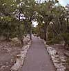 picture of a paved path through some trees